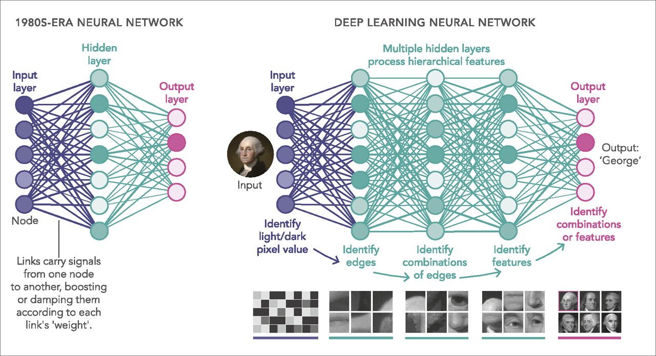 A deep neural store network